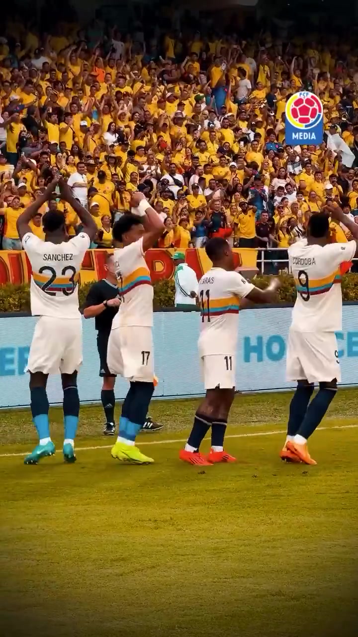 澳洲队主场踢哥伦比亚,争取晋级下一轮 澳洲队主场踢哥伦比亚,争取晋级下一轮