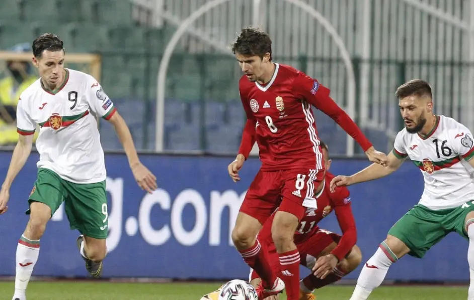 保加利亚在欧预赛比赛中输给荷兰队,遭遇挫折 保加利亚在欧预赛比赛中输给荷兰队,遭遇挫折